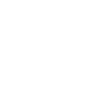 病理数据分析